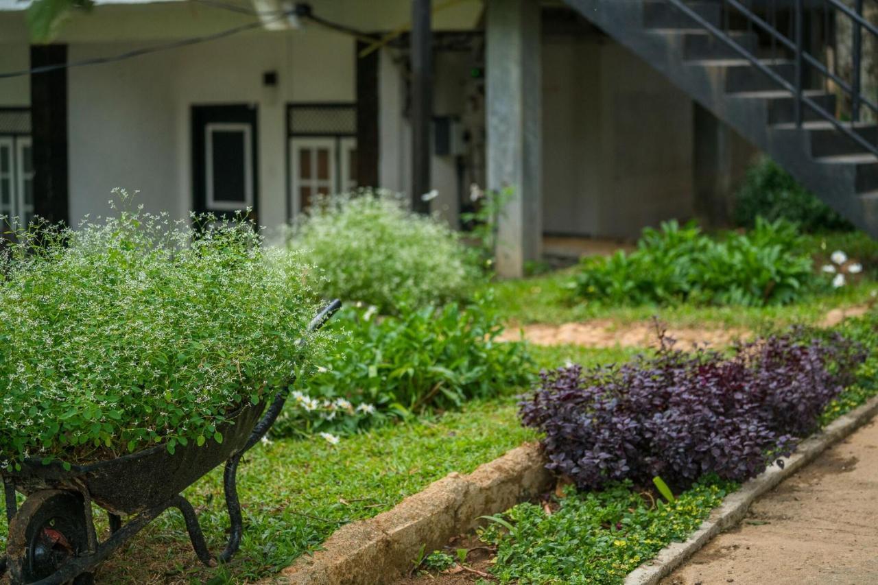 Ella Forest Paradise Hotel מראה חיצוני תמונה